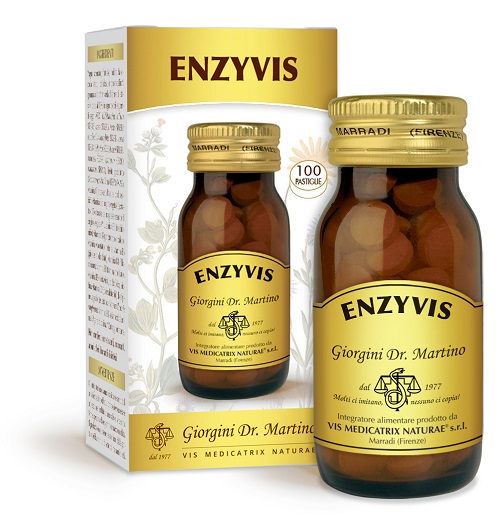 Dr. Giorgini Integratore Enzyvis Enzimi Digestivi, 100 Pastiglie - Immagine 5