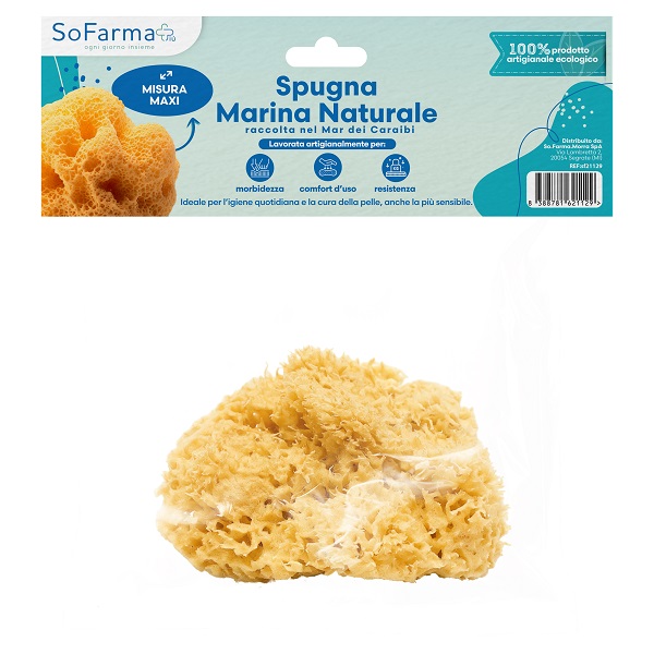 SPUGNA MARINA NATURALE MAXI SF+ - Immagine 5