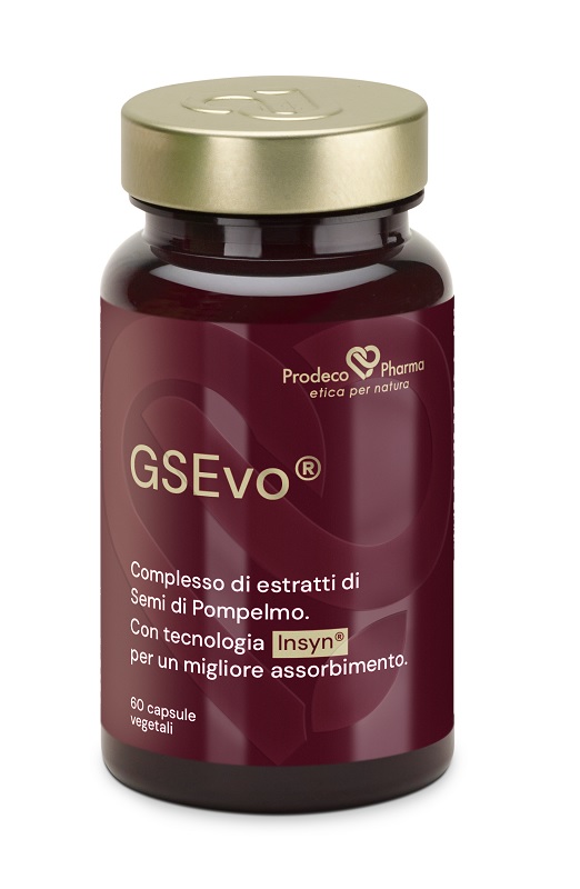 PRODECO INSYN GSE EVO 60CPS - Immagine 3