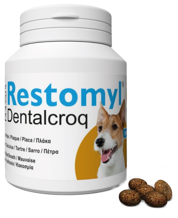 V RESTOMYL DENTRALCROQ CANE 60G