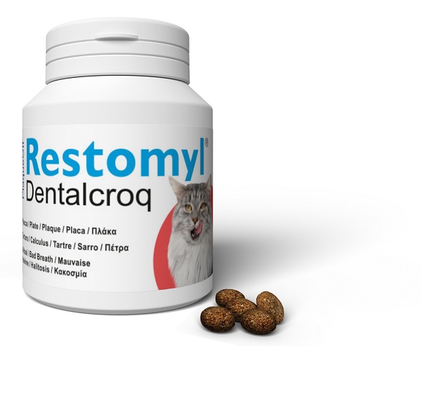 V RESTOMYL DENTRALCROQ GATTO 60G