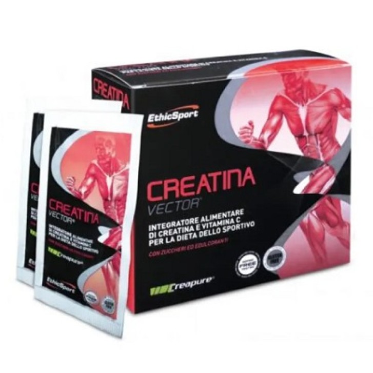 Creatina Vector Integratore alimentare a base di creatina e vitamina C 20 buste