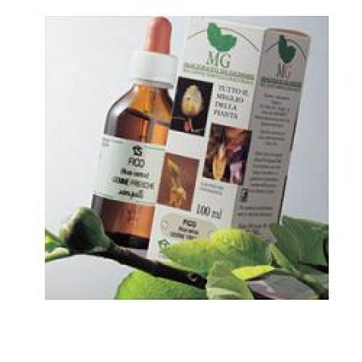 BETULA PUBESCENS 100ML MG