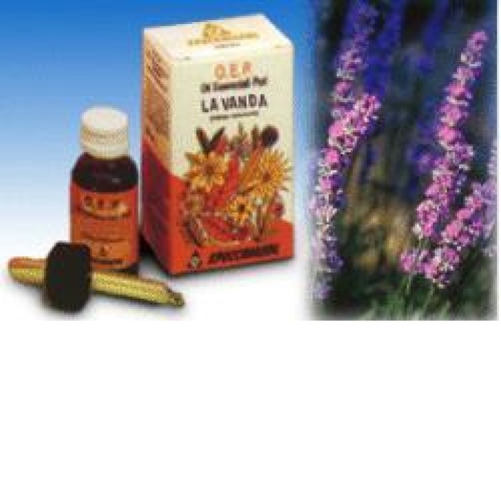 LAVANDA OLIO ESSENZIALE PURO 10 ML