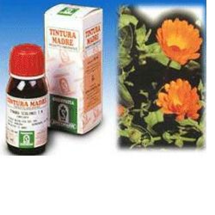 CALENDULA OFF 5 50ML TM SPECCH