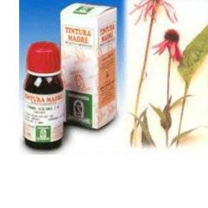 ECHINACEA 59 50ML TM SPECCH