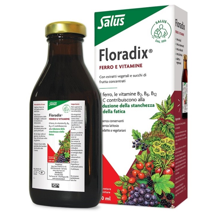 FLORADIX-INTEG FERRO 250ML