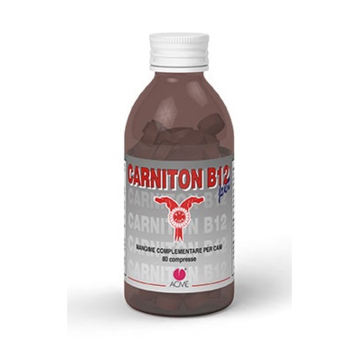 CARNITON-B12 PET 80CPR 80G