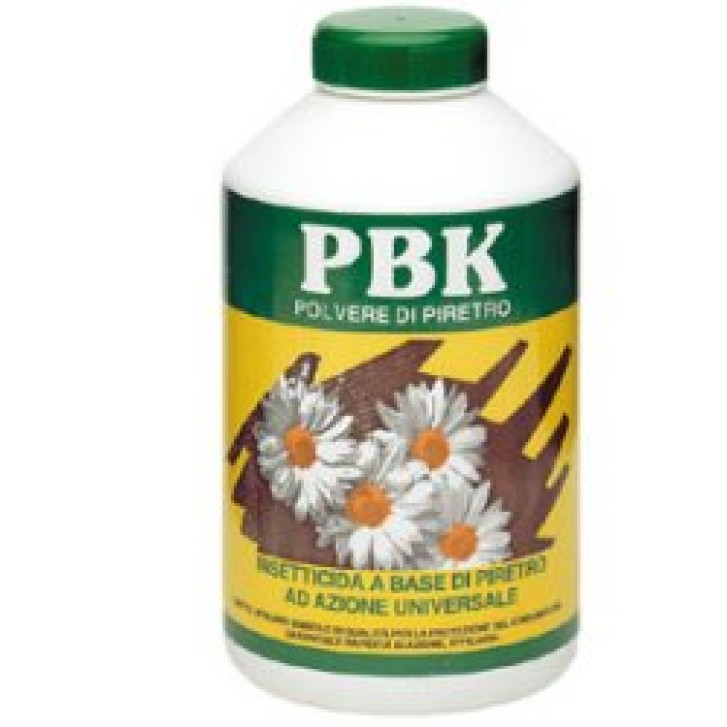 PBK POLV PIRETRO INSETT 250G