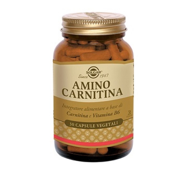 AMINO CARNITINA 30 CAPSULE