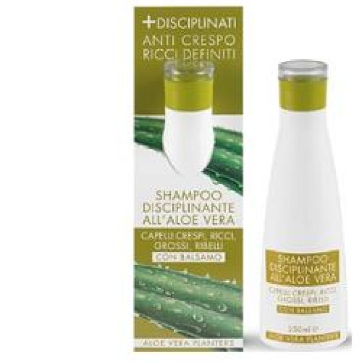 PLANTERS ALOE SHAMPOO DISCIPLIN