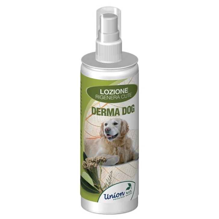 DERMA DOG LOZ RIGEN CUTE 125ML