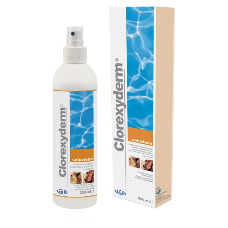 CLOREXYDERM*SOLUZIONE 250ML