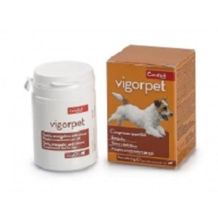 VIGORPET CANI 20 CPR VET