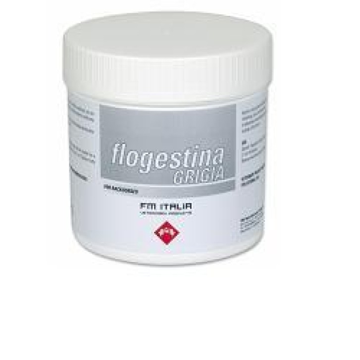 FLOGESTINA GRIGIA PASTA 1KG