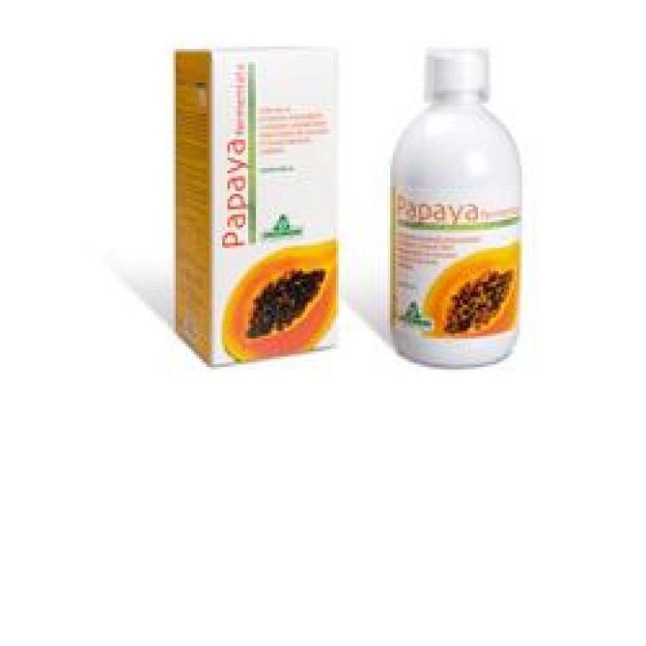 PAPAYA FERMENTATA 500 ML