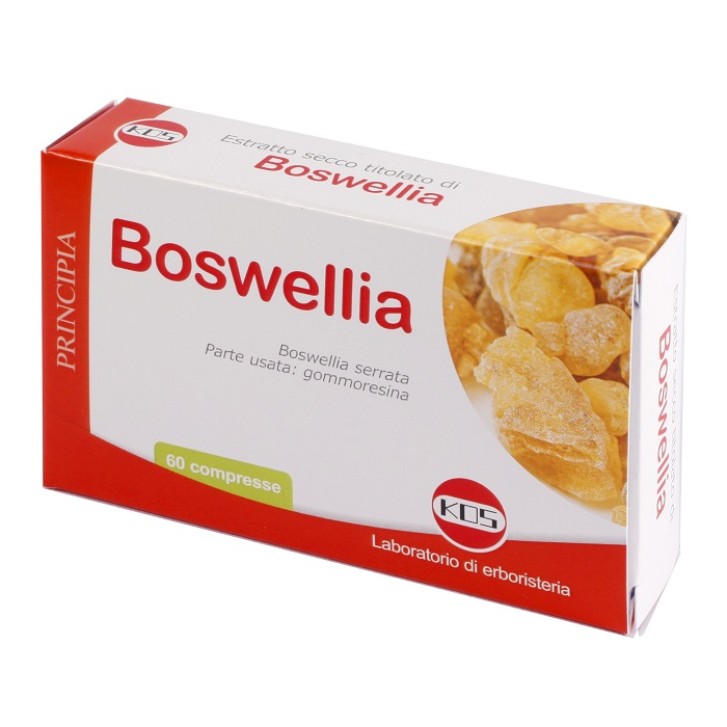 BOSWELLIA ES.SEC 60CPR 24G KOS