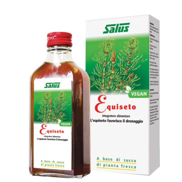 EQUISETO SUCCO S/ALC 200ML SALUS