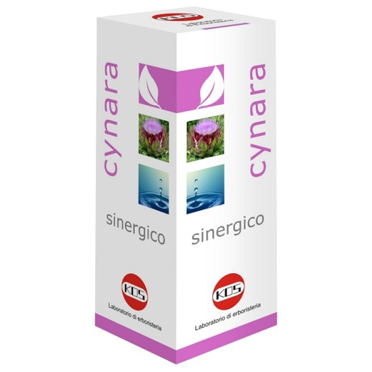 CYNARA SINERGICO GTT 100ML