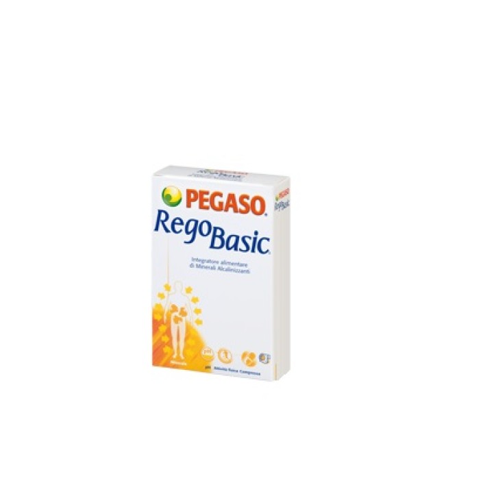 REGOBASIC 12 BUSTINE POLVERE