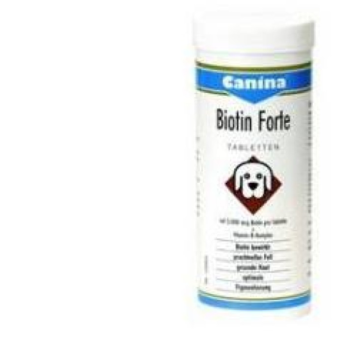 V BIOTIN FORTE POLV 100GR C/G VI