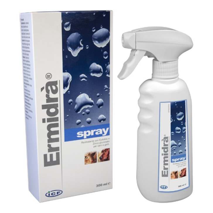 ERMIDRASPRAY 300ML