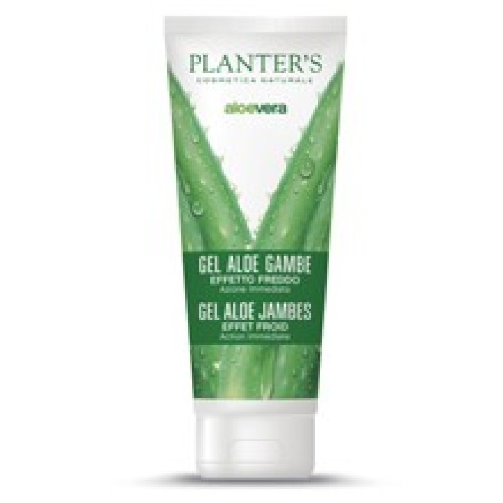 PLANTERS  GEL FREDDO GAMBE ALOE