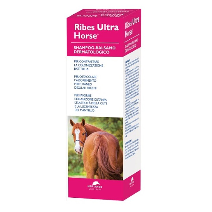 RIBES HORSE SHAMPOO BALS ULTRA