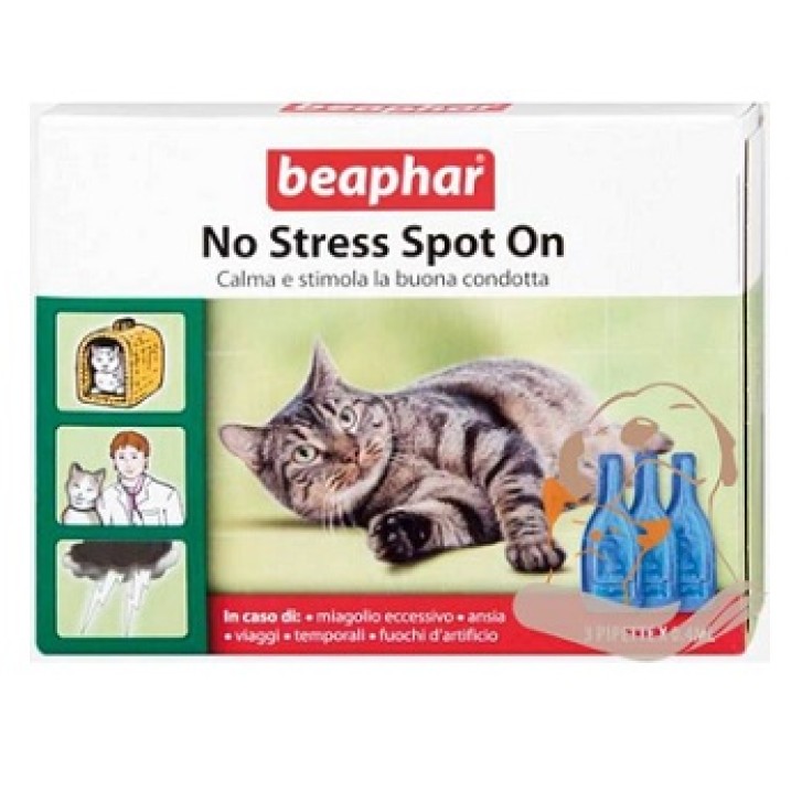 NO STRESS SPOT ON GATTO 3PIPET