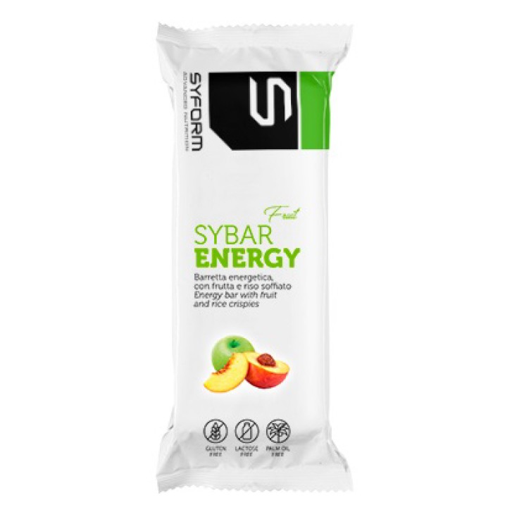 SYBAR ENERGY FRUIT MELA/PESC40