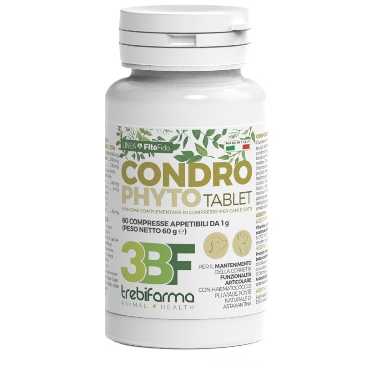 CONDROPHYTO 60CPR 1G