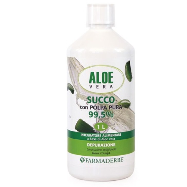 ALOE VERA SUCCO POLPA 1000ML