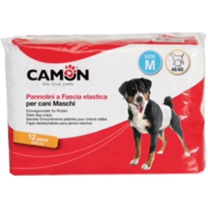 PANNOLINO FASCIA per cani maschi taglia MEDIA