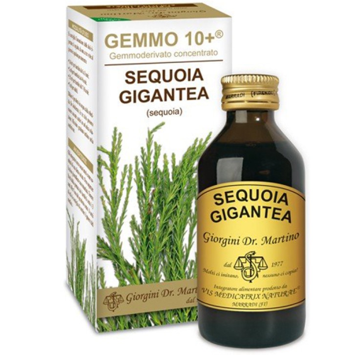 SEQUOIA 100ML ANALCO GEMMO 10+