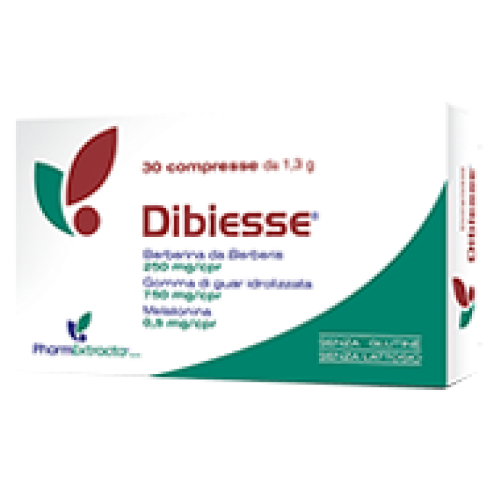 DIBIESSE 30CPR