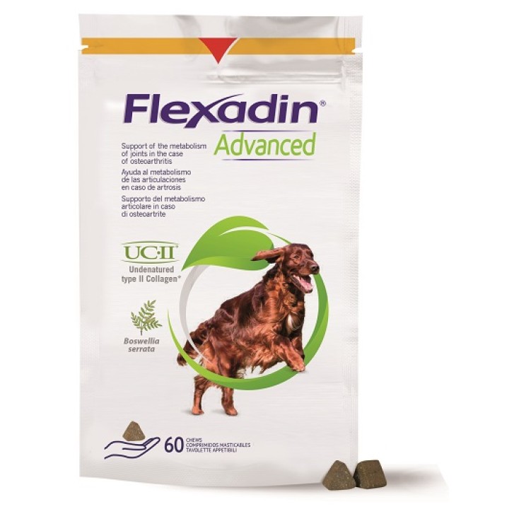 FLEXADIN ADVANCED CANE 60TAV