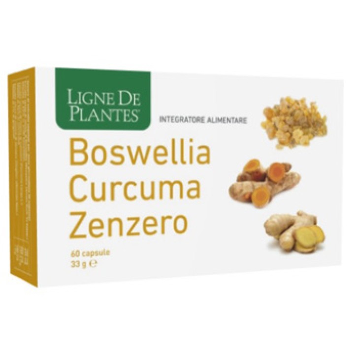 BOSWELLIA CURCUMA ZENZERO60CPS