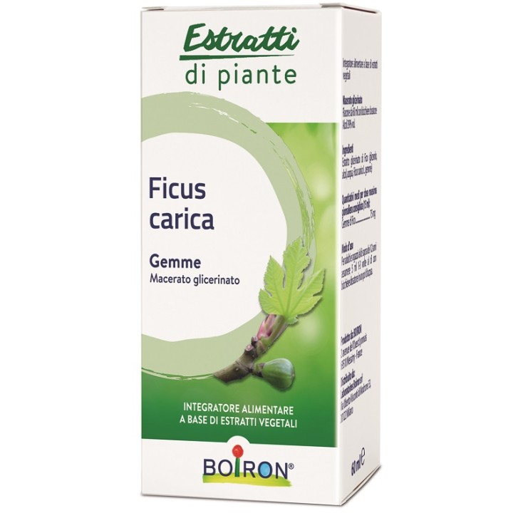 FICUS CARICA MG 60ML INT BO