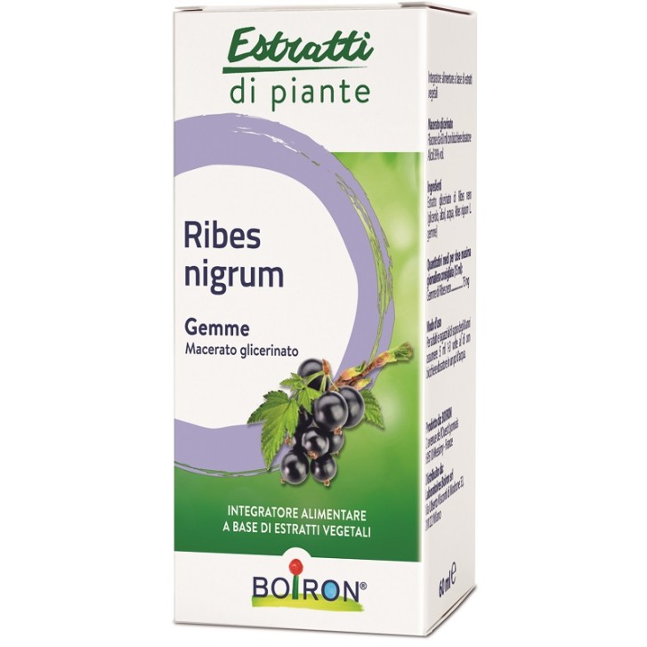 RIBES NIGRUM MG 60ML INT BO