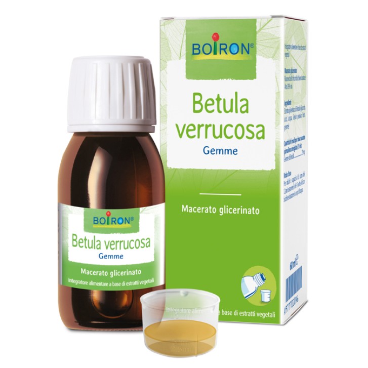 BETULA VERRUCO MG 60ML INT