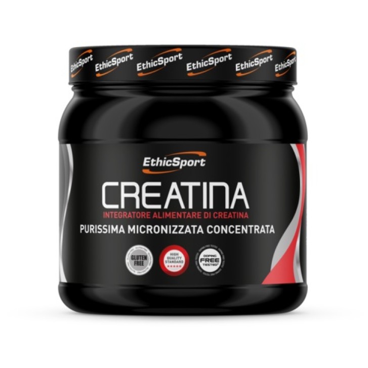 CREATINA POLVERE 300GR ETHICSPOR