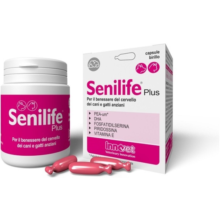 SENILIFE PLUS 30CPS