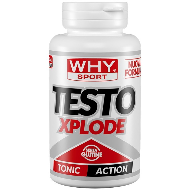 WHYSPORT TESTO XPLODE 90CPR NF