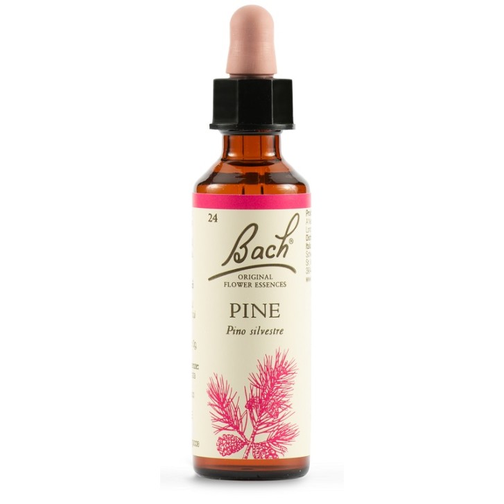 PINE BACH ORIG 20ML