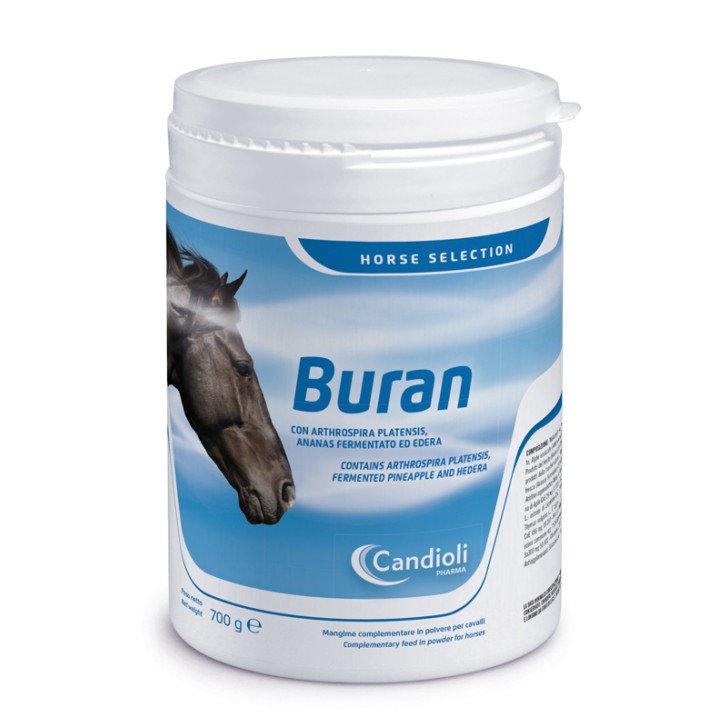 BURAN 700 GR