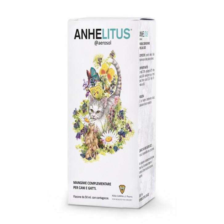 ANHELITUS AEROSOL 50ML