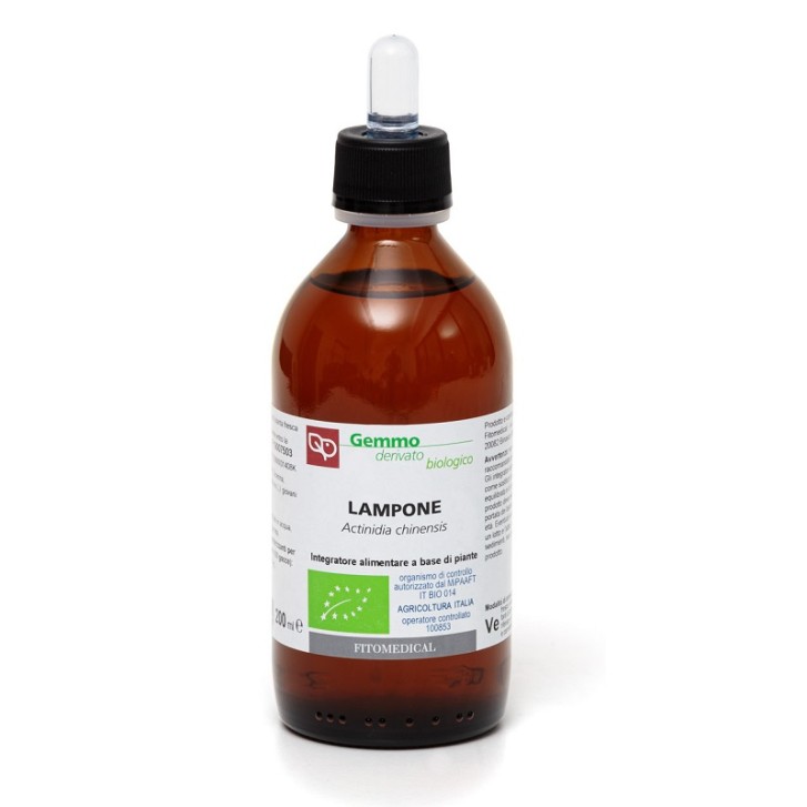 LAMPONE MG BIO 200ML FTM