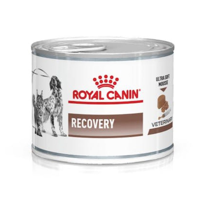 V RC DOG/CAT RECOVERY 195GR