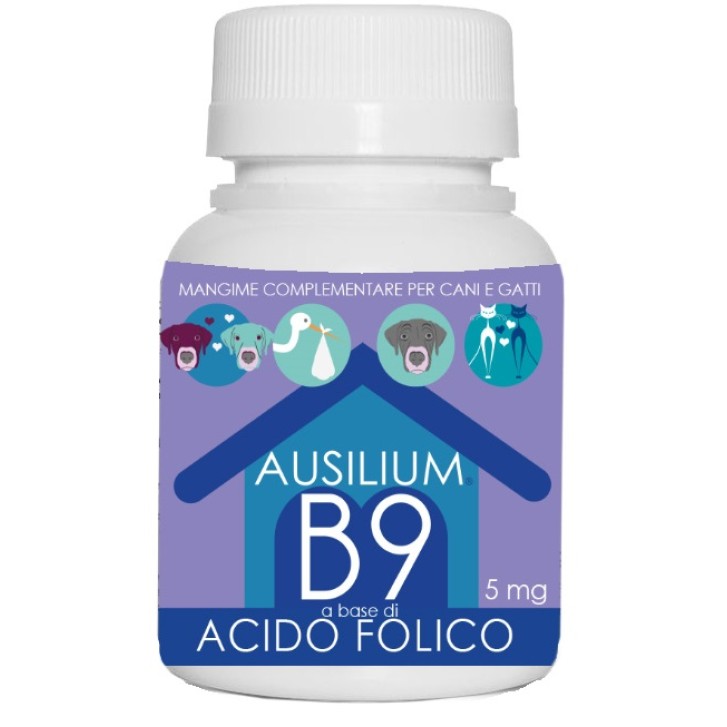 AUSILIUM B9 ACIDO FOLIC 100G VET