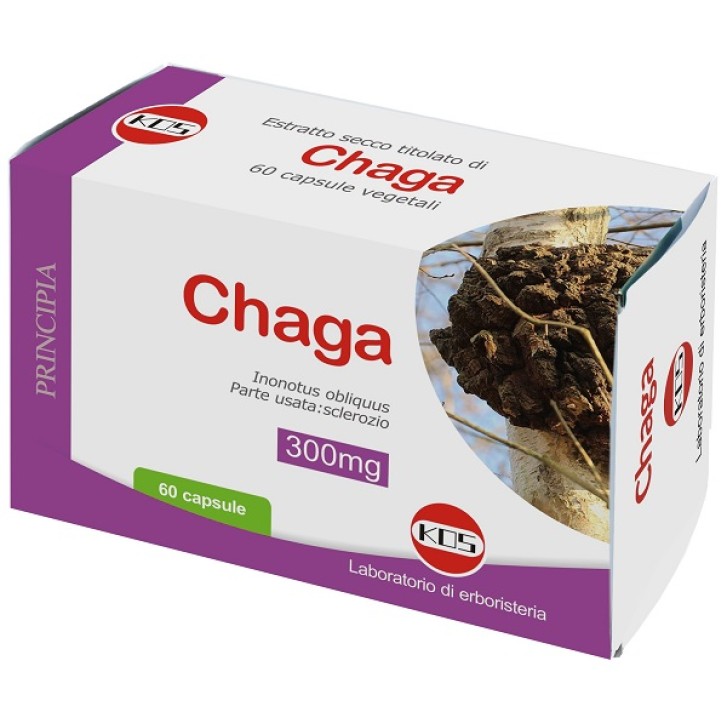 CHAGA FUNGO ES 60CPS